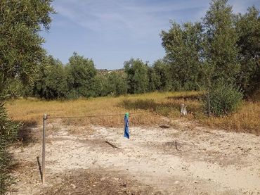 Rustikales Grundstück zum Verkauf in Paraje El Barrancón, Pol.101, Par.183, 66