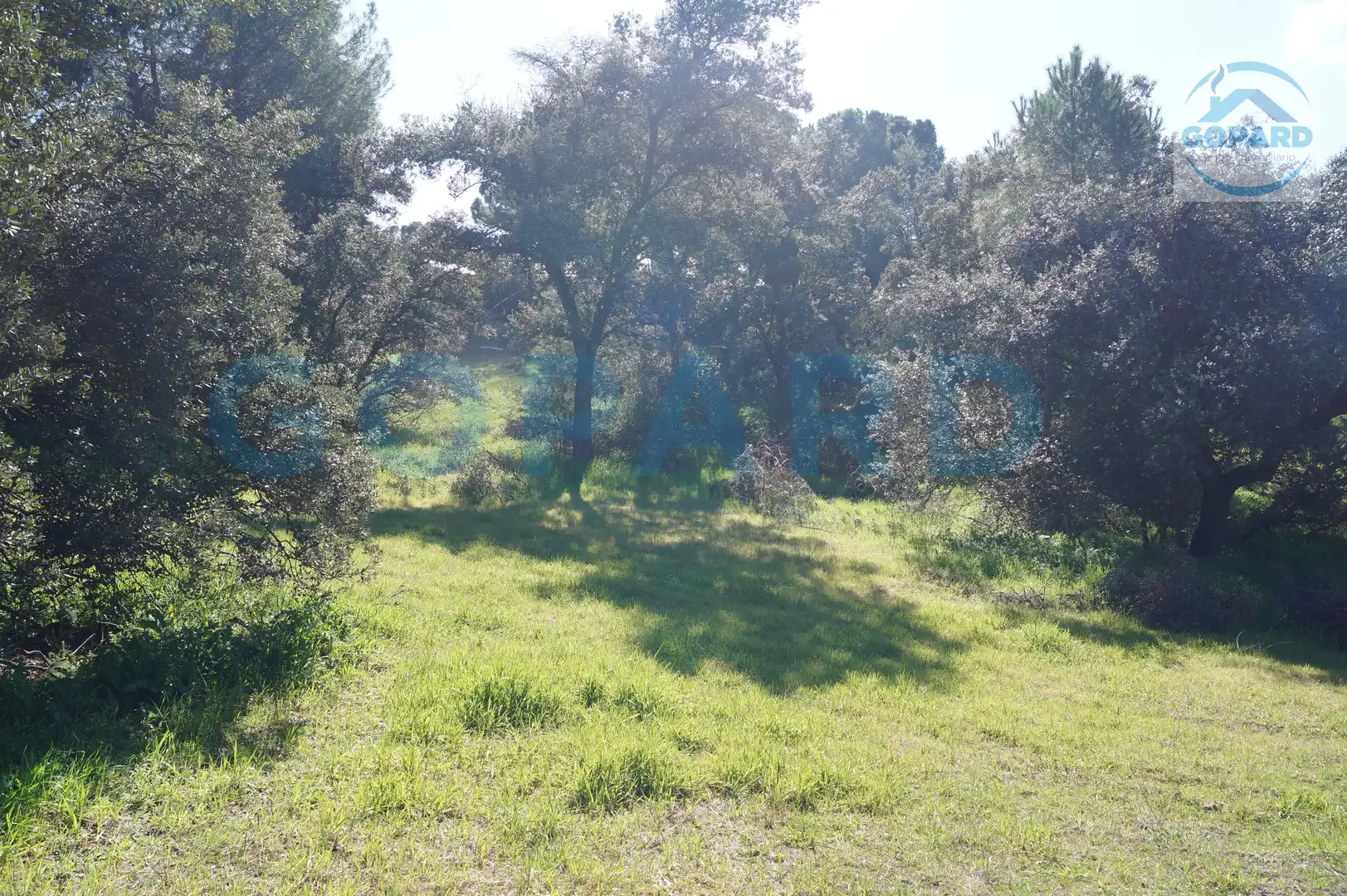 Residencial en venta en El Bosque