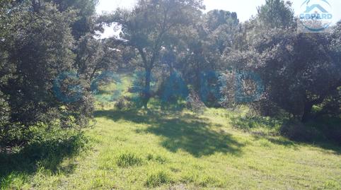 Foto 4 de Residencial en venda a El Bosque, Madrid