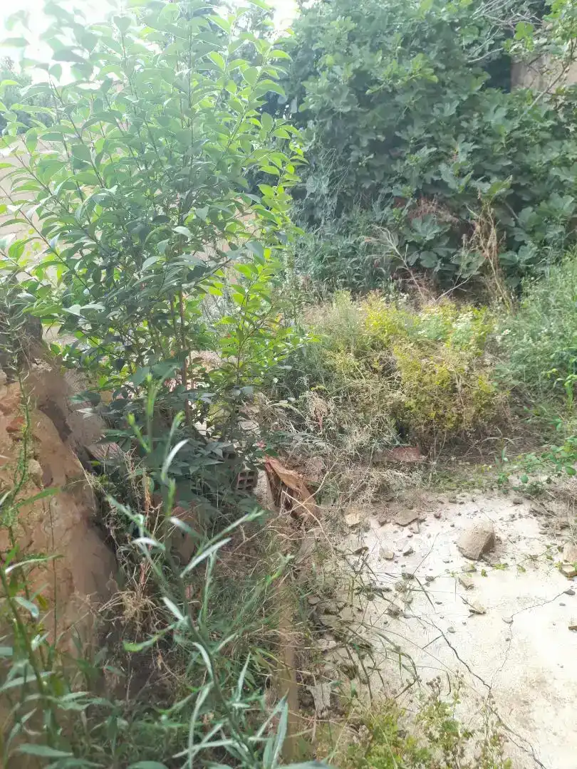 Casa adosada en venda en Mendavia amb Balcó