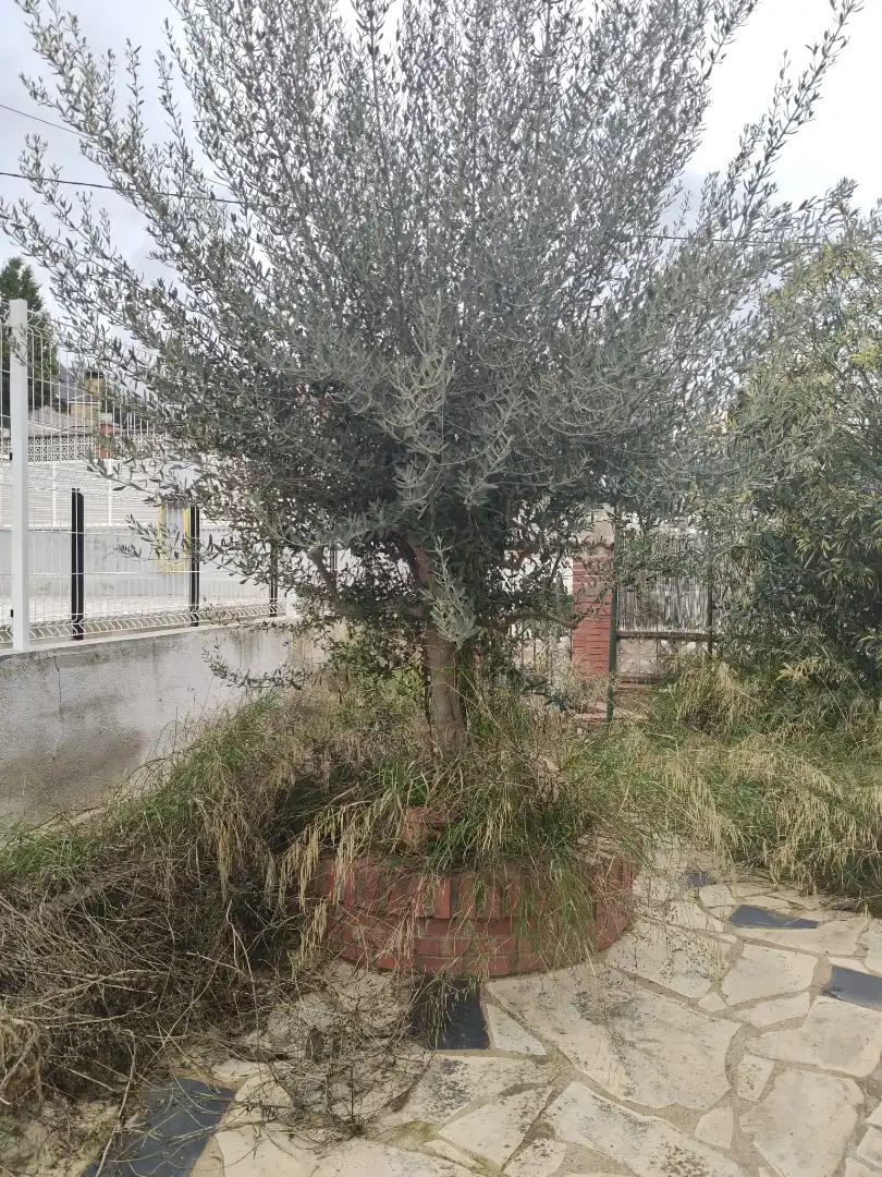 Casa con terraza en venta en Carrer d'Amadeu Víves, imagen 38