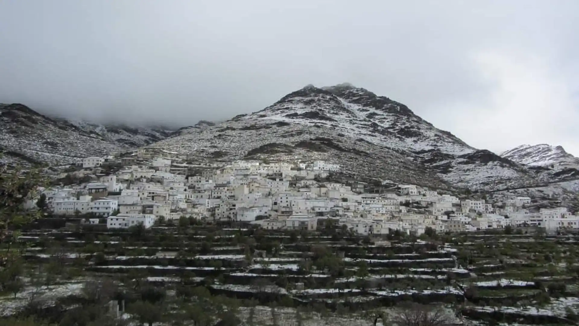 Vista exterior de Terreno en venta en Senés