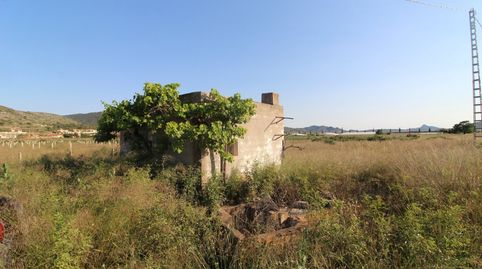 PARCELA CON ALBERGUE, immagine 5