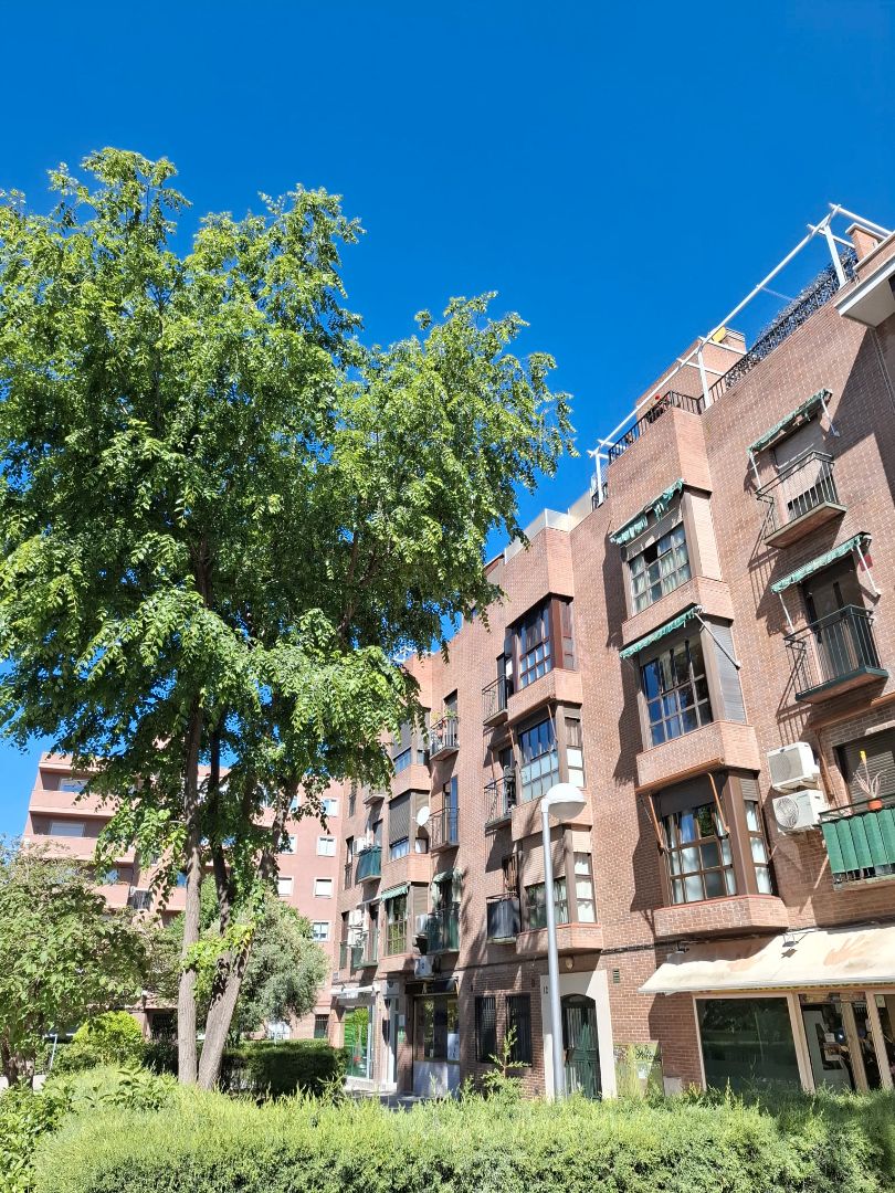 Flat for sale in Calle de Peña Cervera, Casco Histórico de Vallecas, Villa de Vallecas,  Madrid Capital