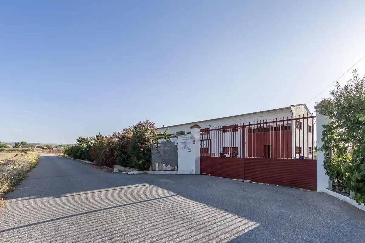Chalet con terraza en venta en Santa Fe, imagen 39