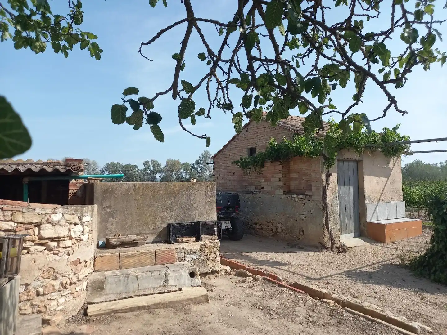 Lands and plots for sale in Ginestar, imagen 3