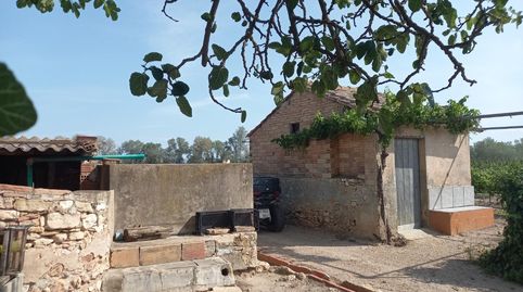 FINCA RUSTICA EN GINESTAR A ORILLAS DEL RIO EBRO, immagine 3