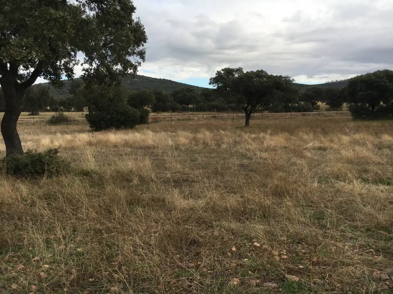 Terreny rústic en venda a Carretera  PERALEDA DEL ZAUCEJO, imagen 6