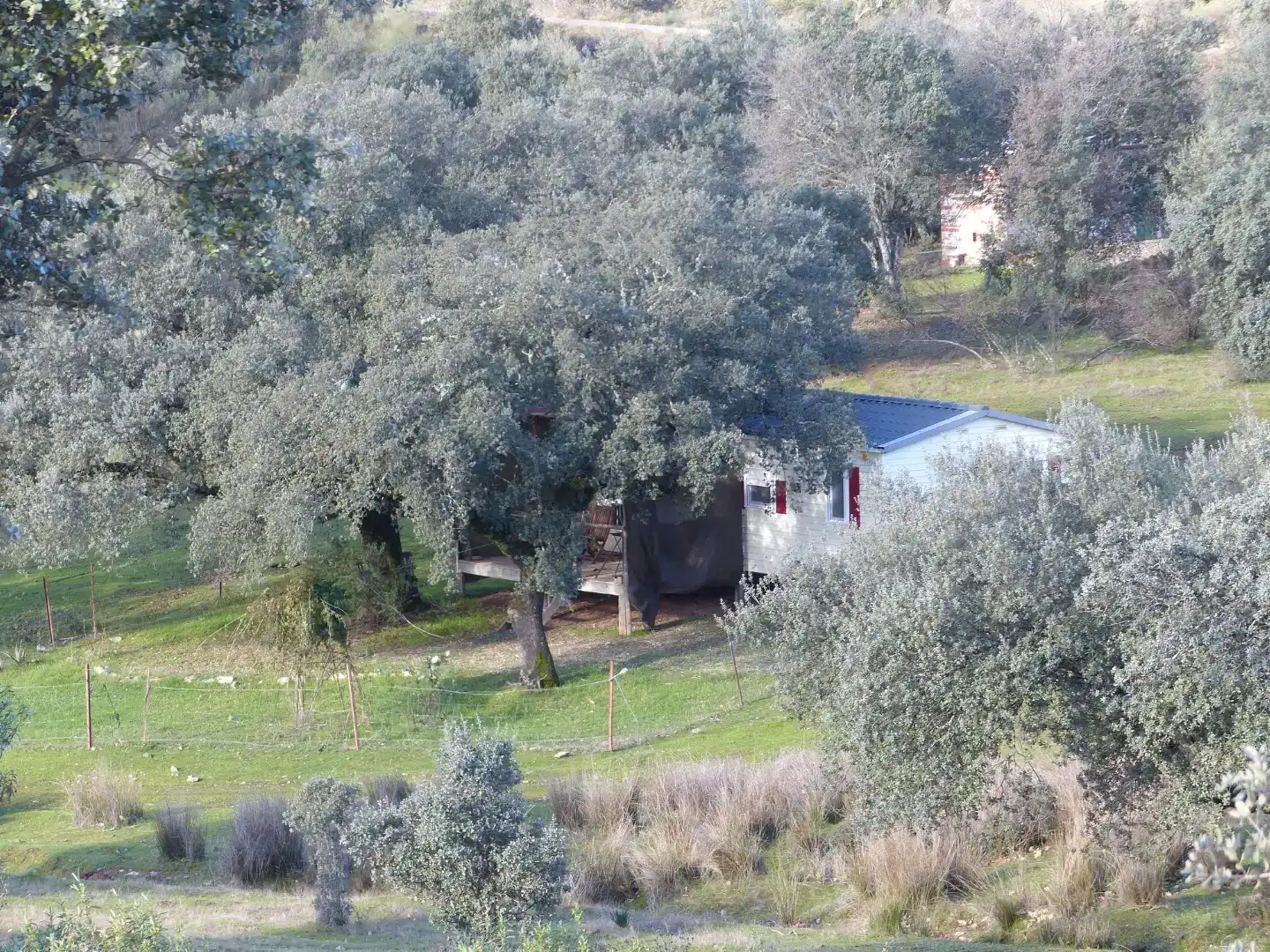Vista exterior de Finca rústica en venda en Villasbuenas de Gata amb Aire condicionat, Traster i Piscina