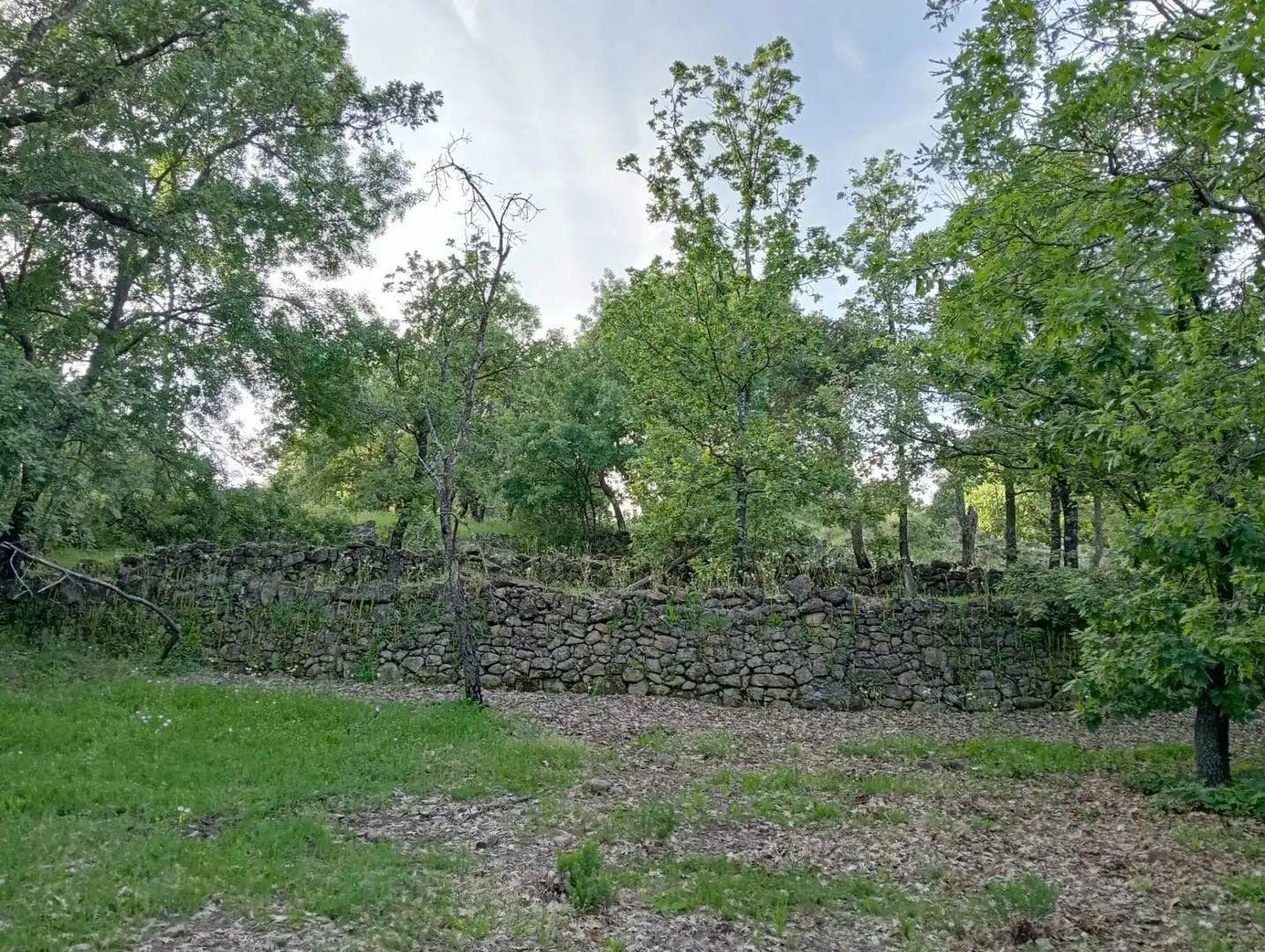 Terreno en venta en Villanueva de la Vera