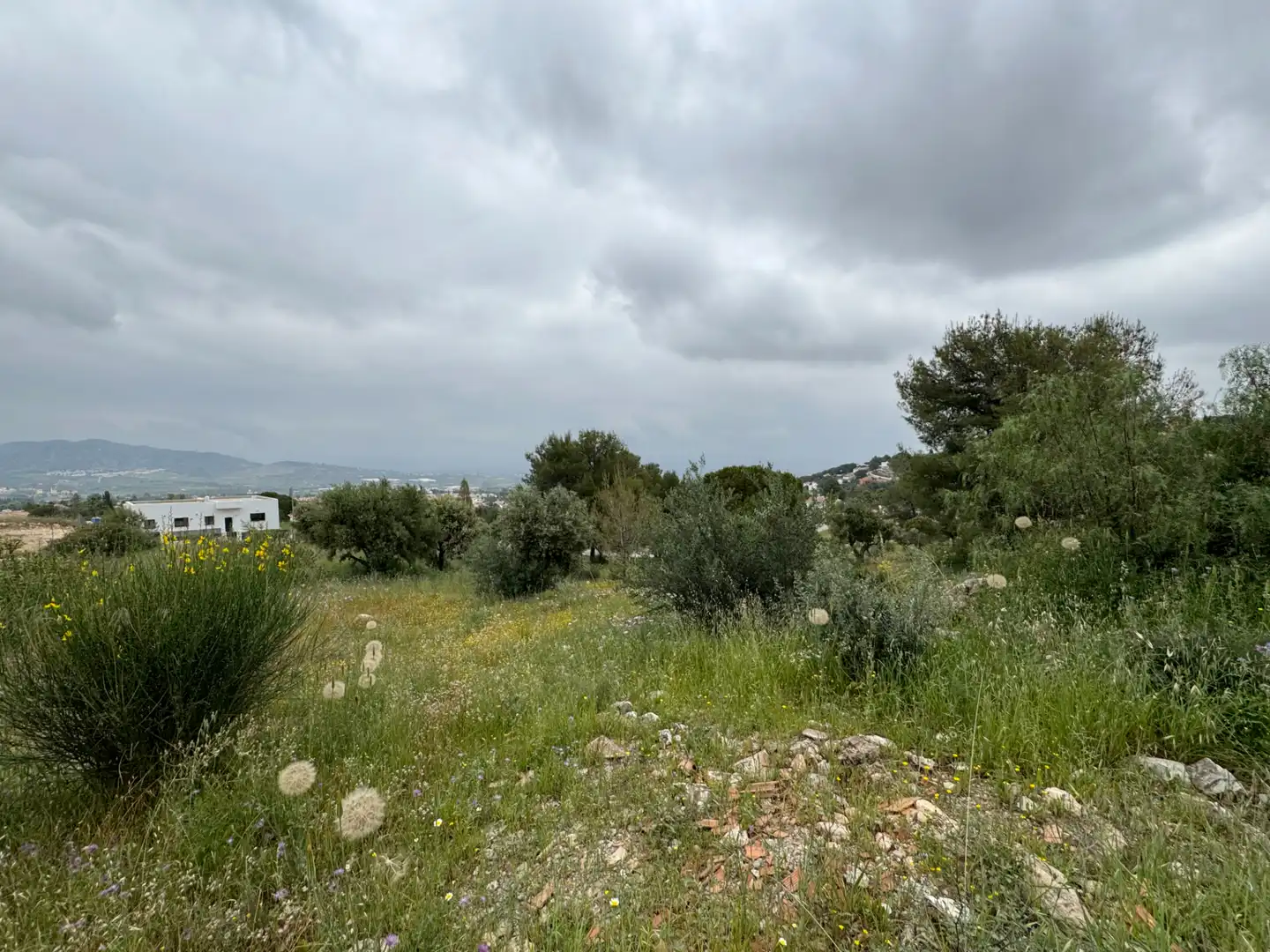 Terreni e lotti in vendita a Pinos de Alhaurín - Periferia, imagen 6