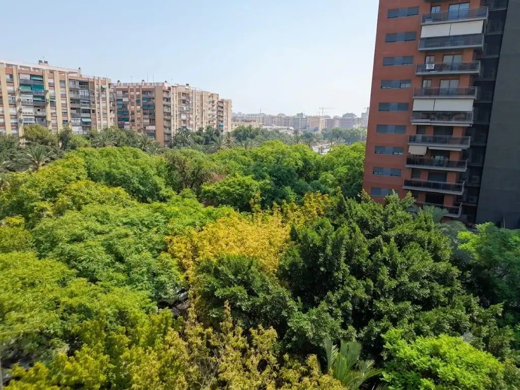 Pis amb terrassa en venda a Calle del Ingeniero José Sirera, imagen 25