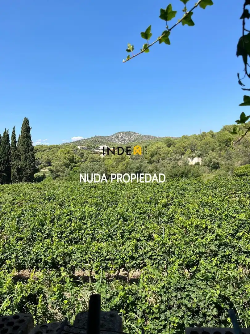 Haus oder Chalet zum Verkauf in Mas Trader - Corral d'En Tort - Corral d'En Cona