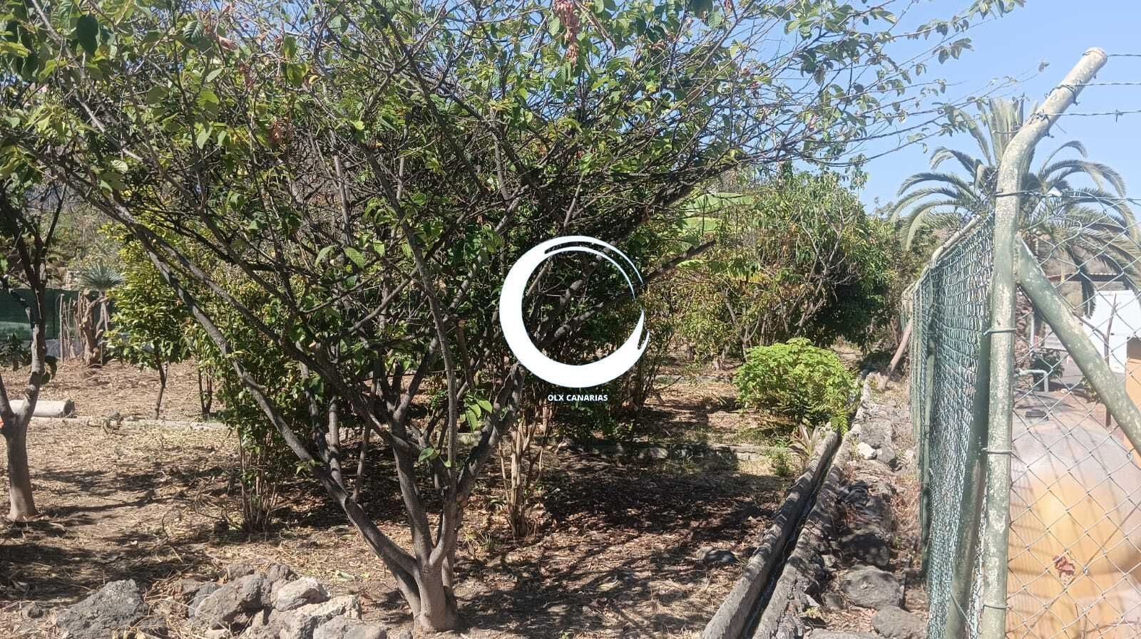 Land for sale in Icod de los Vinos