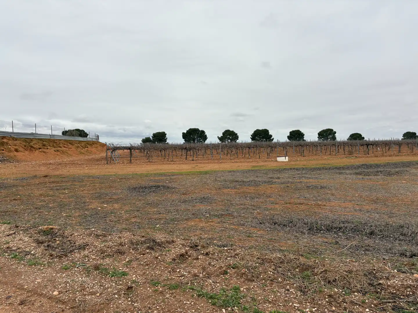 Terreno rústico en venta en Camino de Tomelloso a Villarrobledo 562, imagen 15