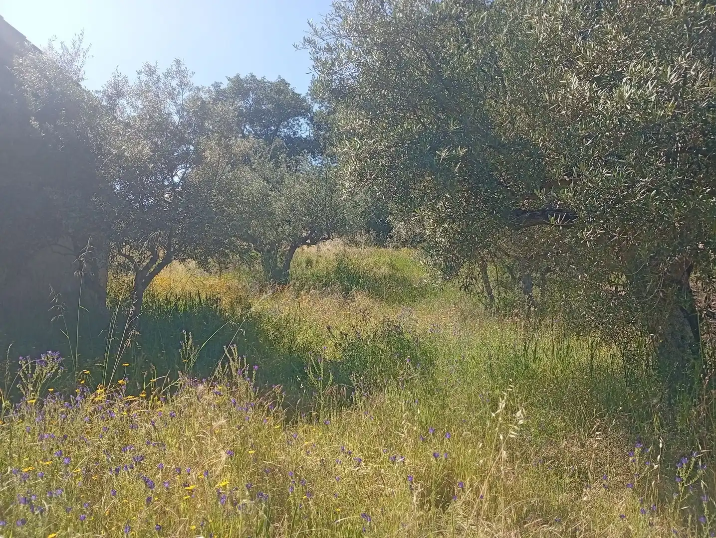 Maison à vendre à Villanueva de la Vera, imagen 29