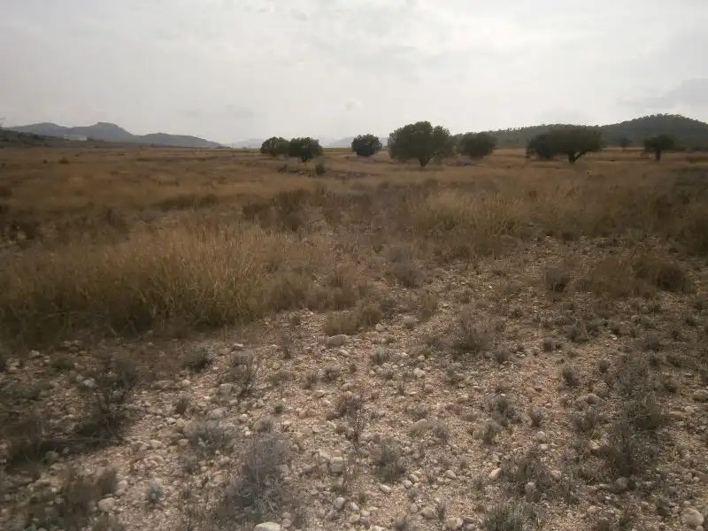 Land for sale in Castrillón