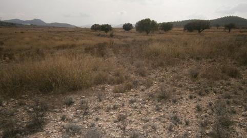 Photo 5 of Land for sale in Salinas, Castrillón