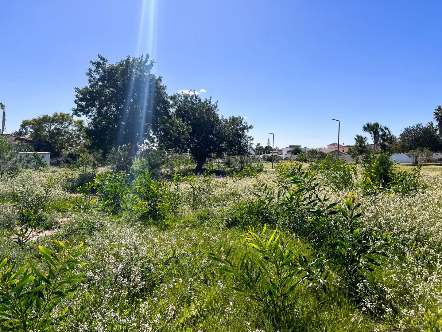 Casa o chalet en venta en Rojales con Aire acondicionado, Calefacción y Jardín privado