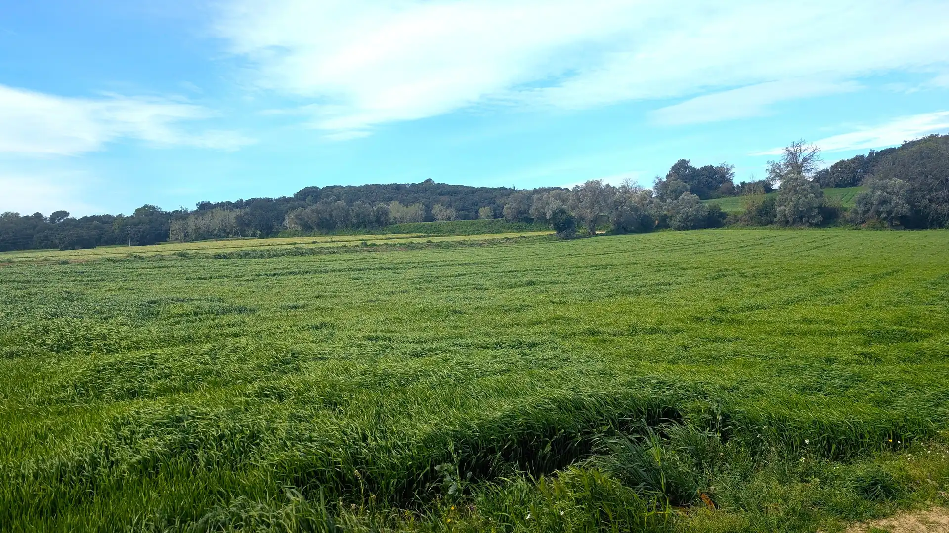 Finca rústica en venda en Corçà amb Moblat