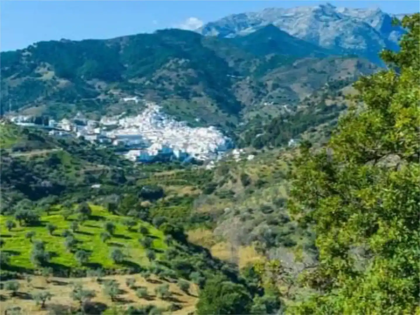 Vista exterior de Pis en venda en Tolox amb Jardí privat, Traster i Moblat