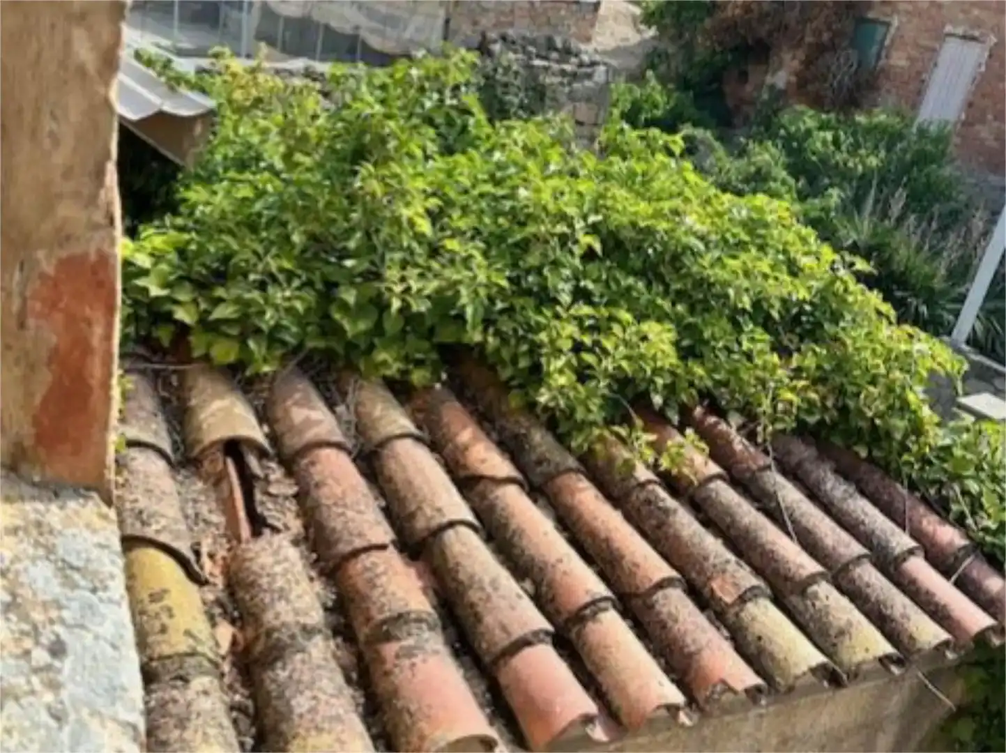 Exterior view of Residential for sale in Alfés