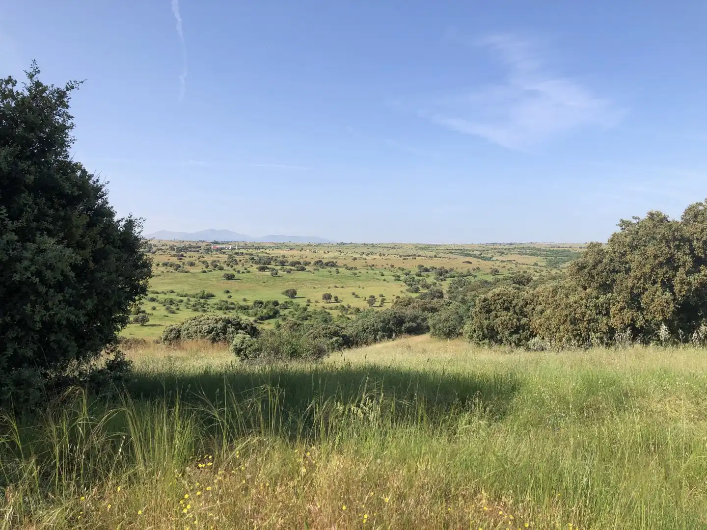 Terreni e lotti in vendita a Pelayos del Arroyo, imagen 5