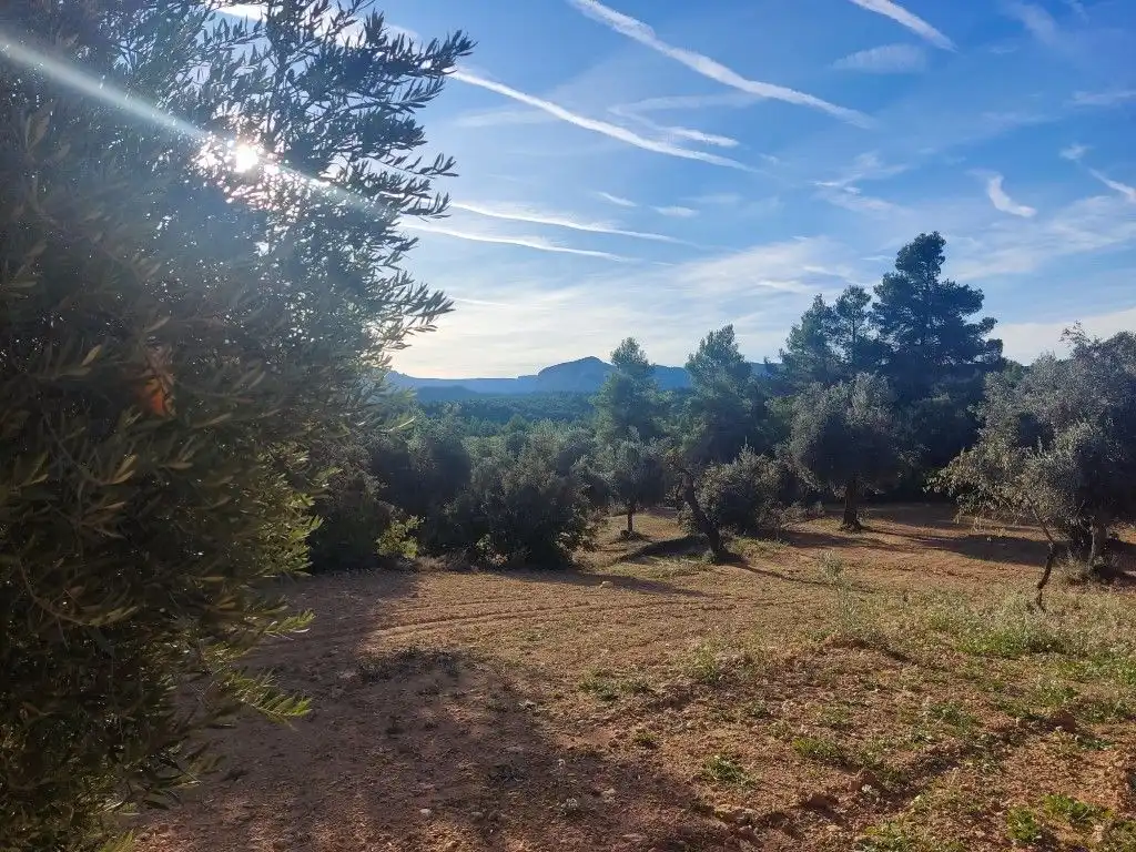 Terreni e lotti in vendita a Cretas, imagen 4