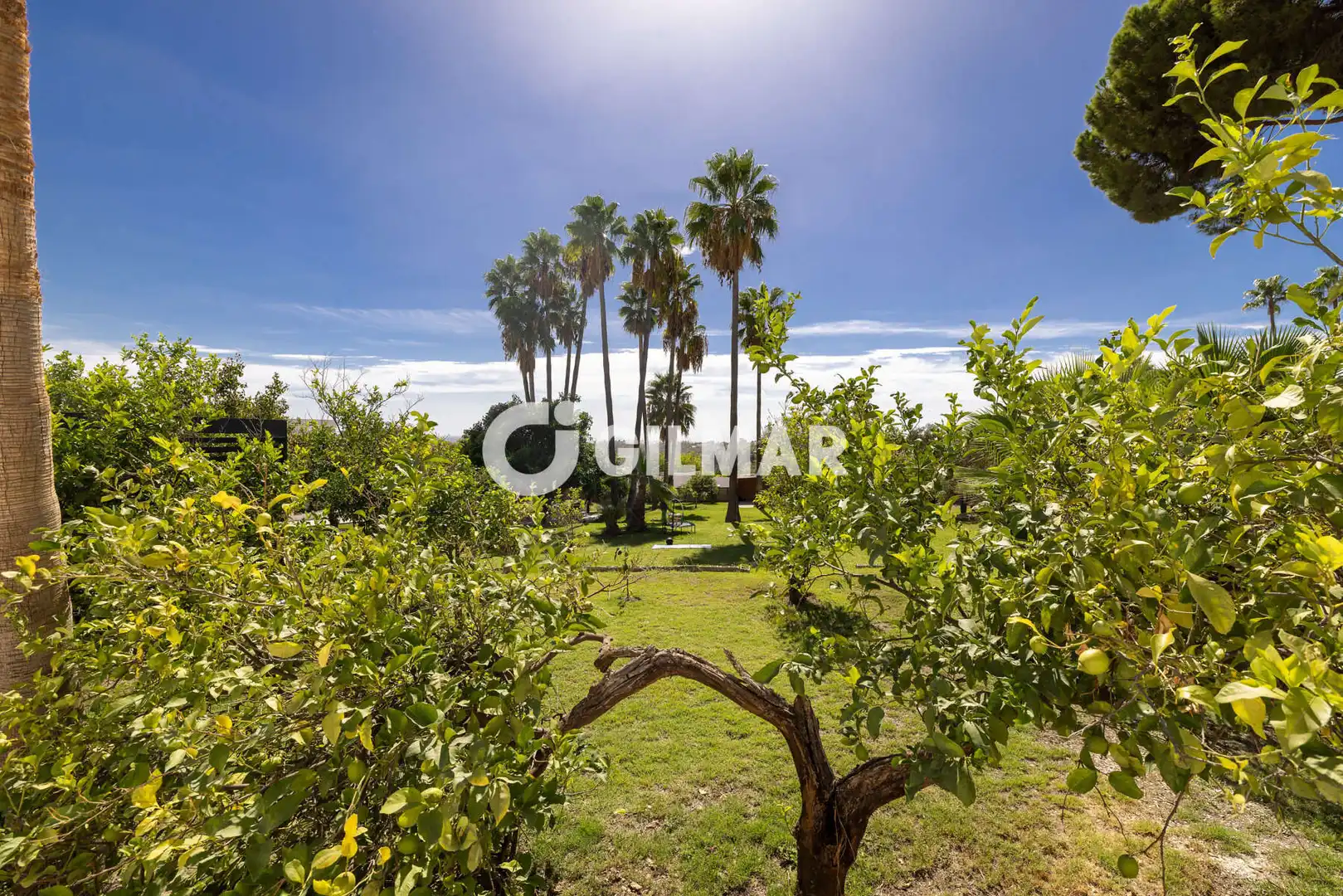 Villa con piscina in vendita a Punta Plata, imagen 3