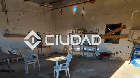 Photo 3 of Land for sale in Lebrija, Sevilla