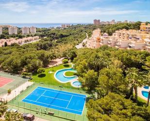 Jardí de Pis de lloguer en Orihuela amb Aire condicionat, Piscina i Balcó