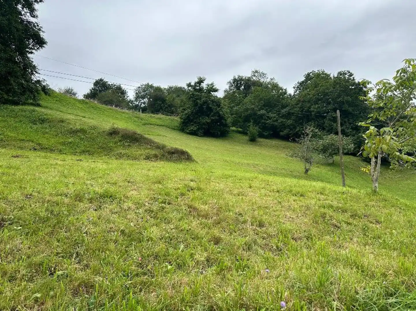 Terreno rústico en venta en Valdáliga - Mies de Concha s/n, imagen 3