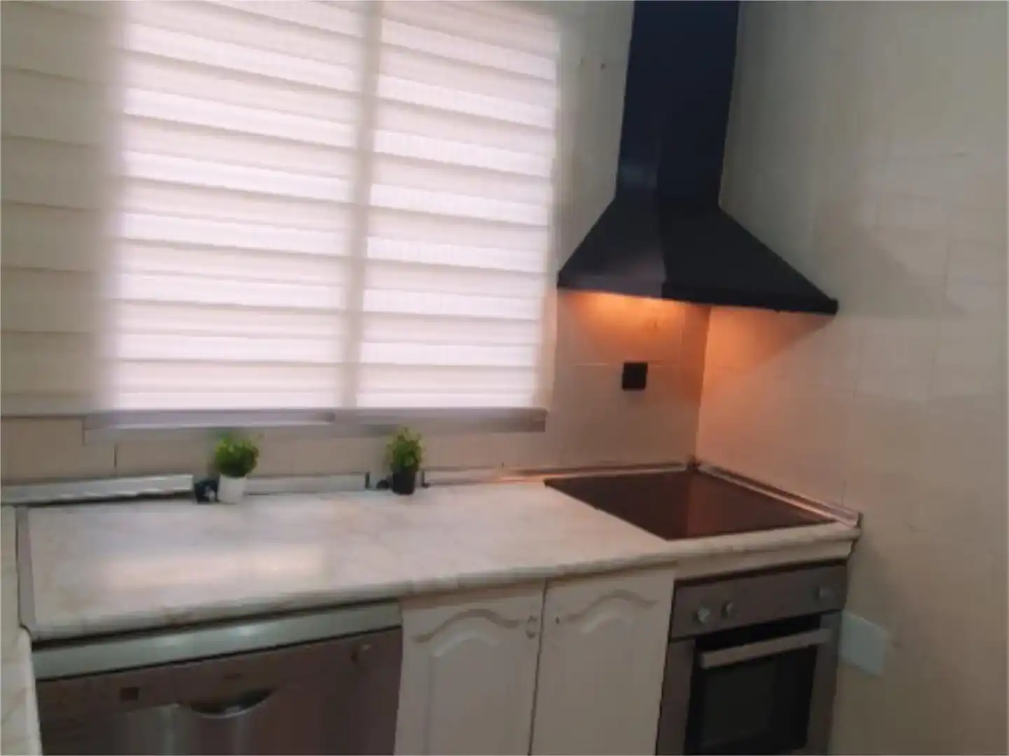 Kitchen of Flat for rent in Zona Hospital
