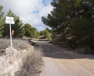 Exterior view of Land for sale in Elche de la Sierra