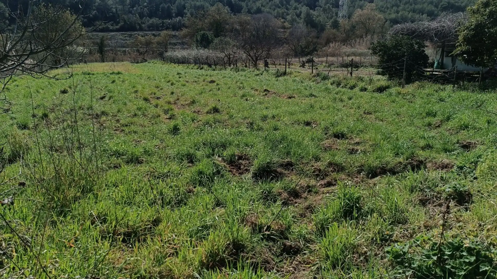 Terreno en venta en Vilafranca del Penedès