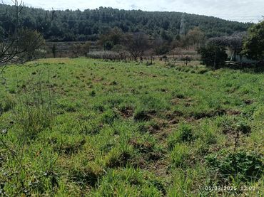 Terreno rustico in vendita a Sant Julià