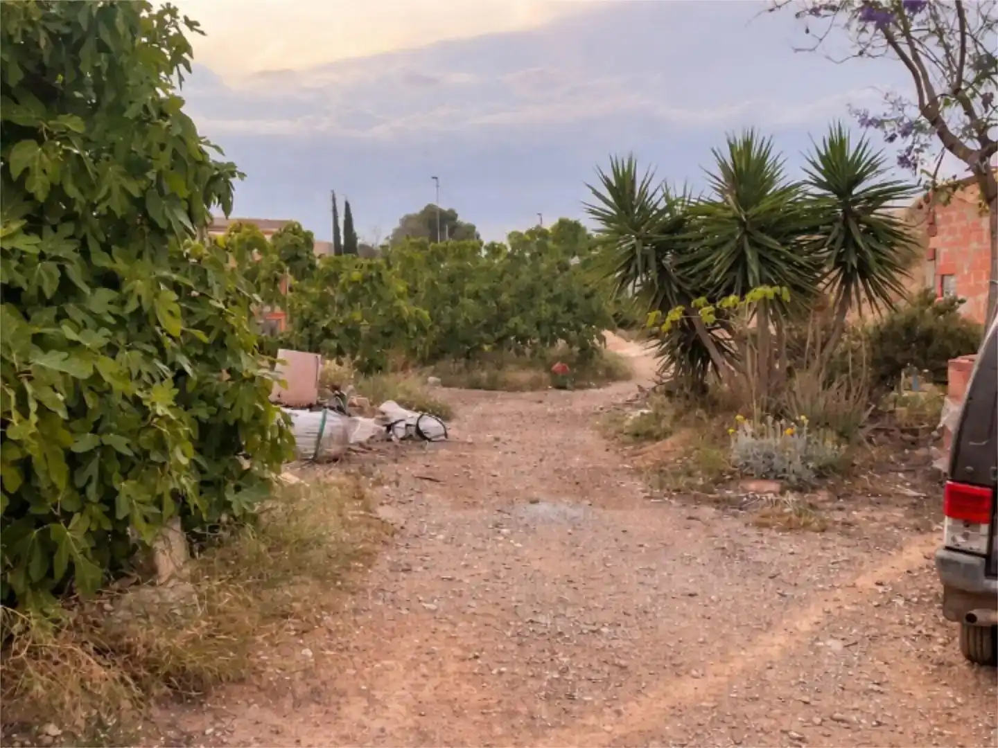 Finca rústica en venda en Orihuela amb Jardí privat i Traster
