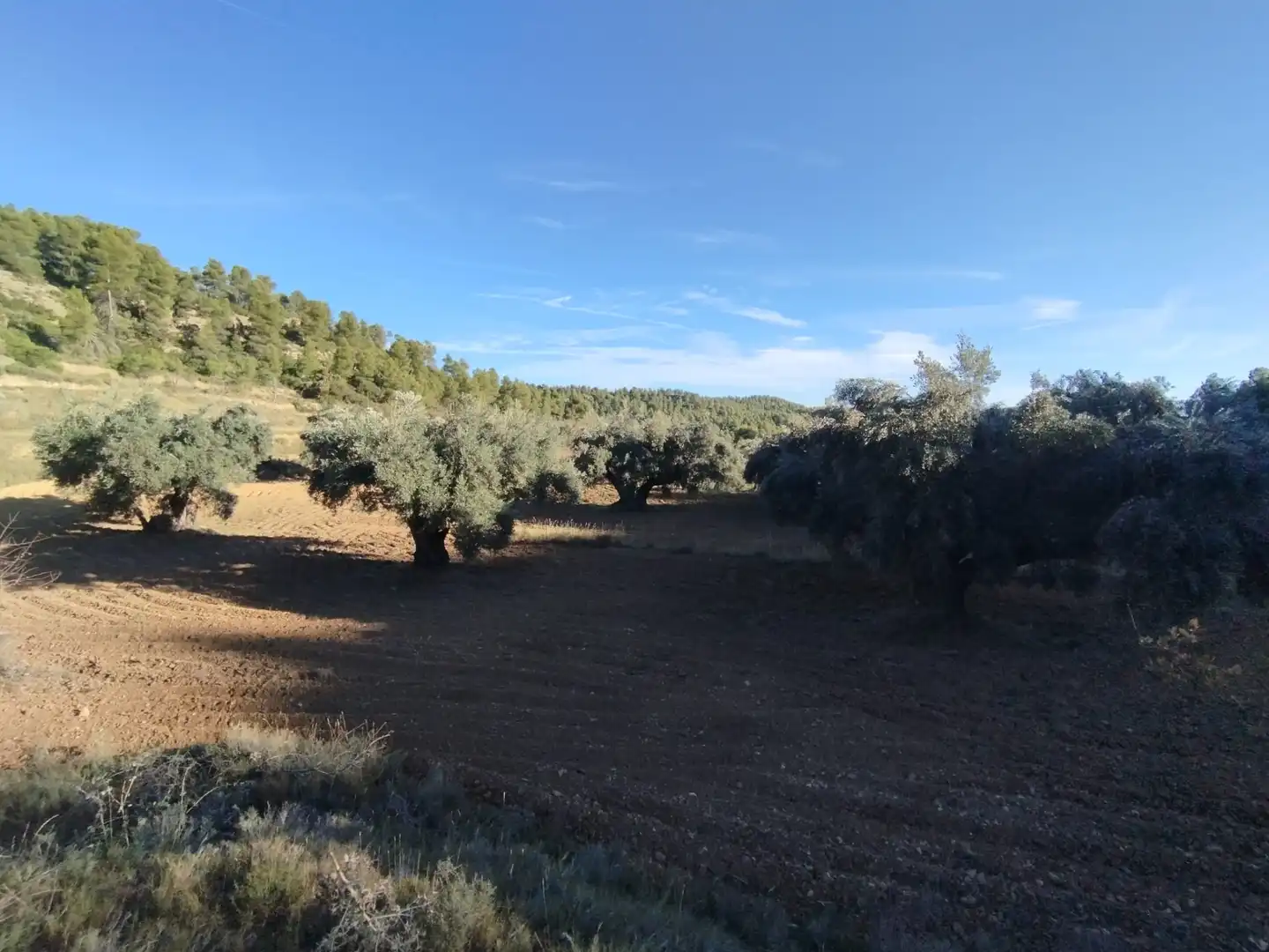 Terreni e lotti in vendita a La Fresneda, imagen 9