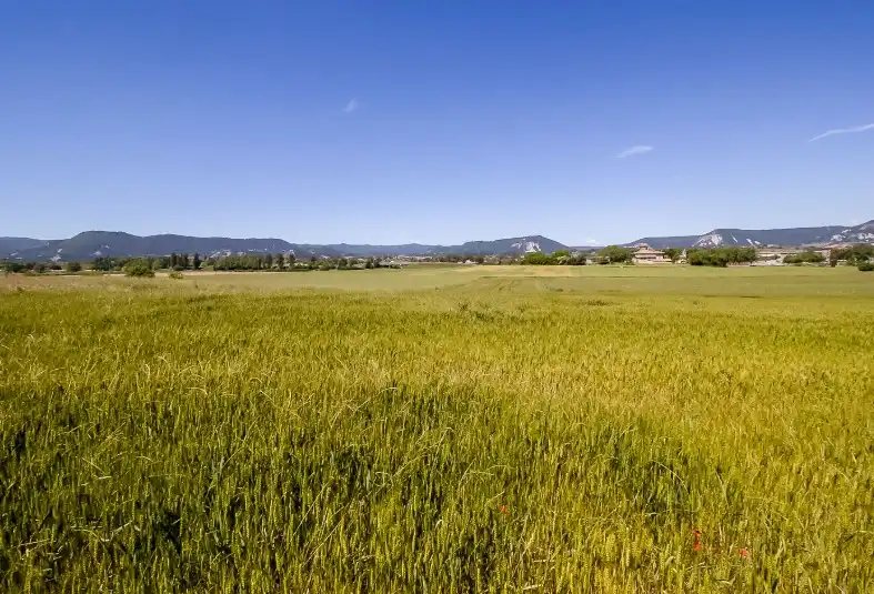 Rustikales Grundstück zum Verkauf in Sc Serra de Senferm, imagen 18