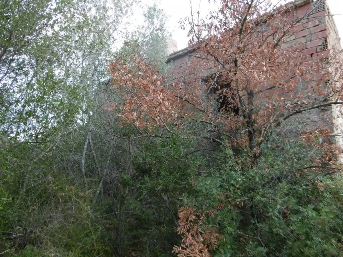Casa rústica en venda a Vall d'Alba, imagen 5