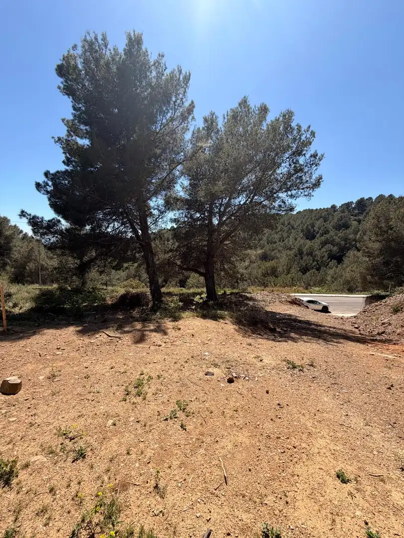 Terrenys i solars en venda a Almoster, imagen 5