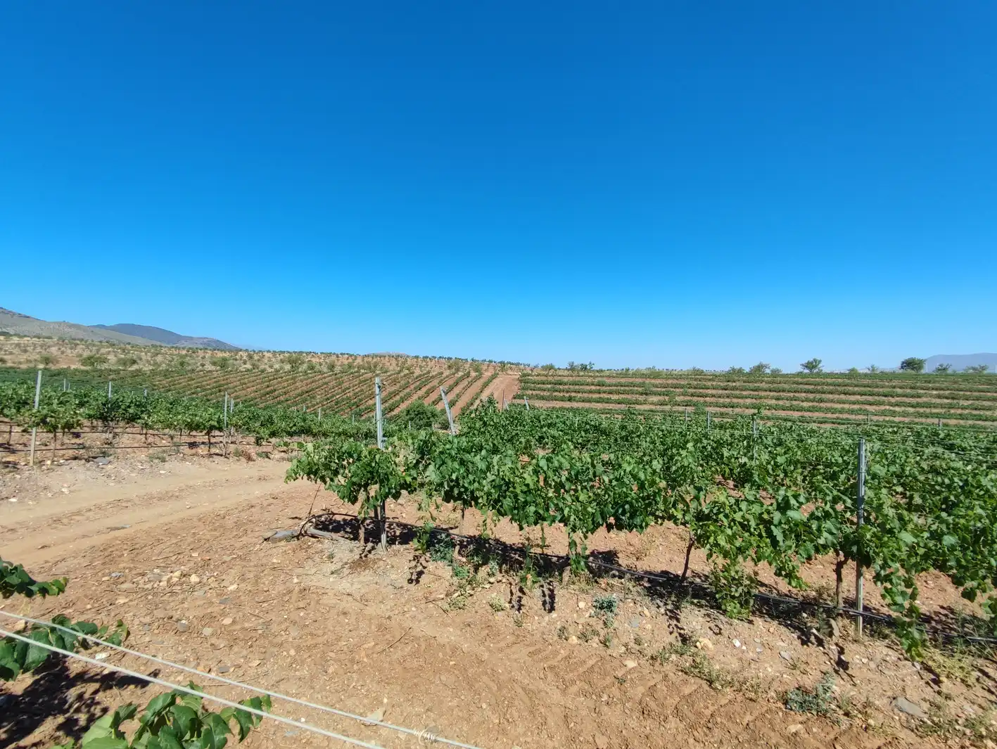 Land for sale in Huéneja
