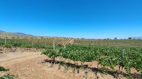 Foto 4 de Terreny en venda a Camino de la Loma a Fiñana, Huéneja, Granada