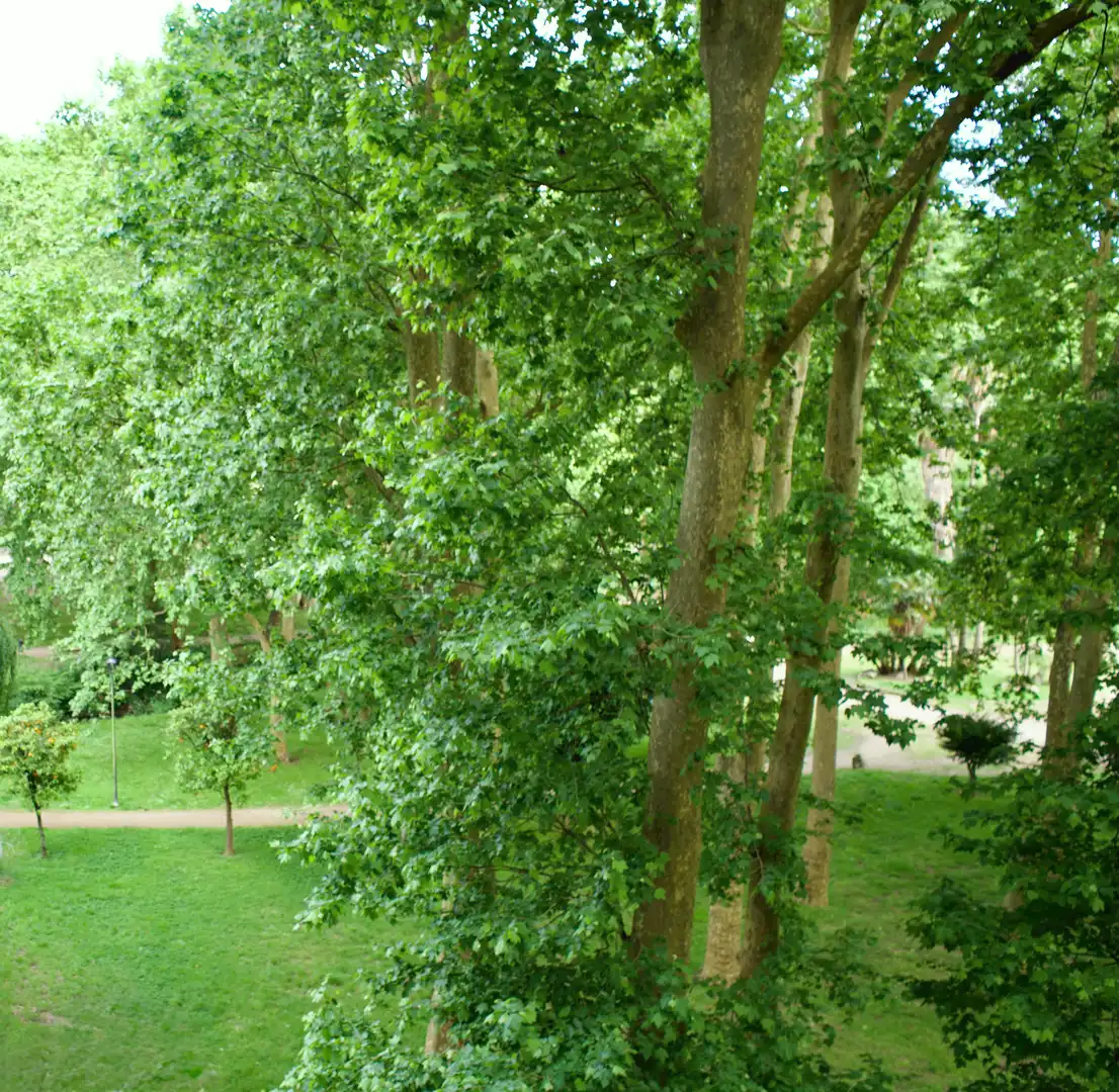 Jardín de Piso en venta en Vigo  con Calefacción, Parquet y Amueblado