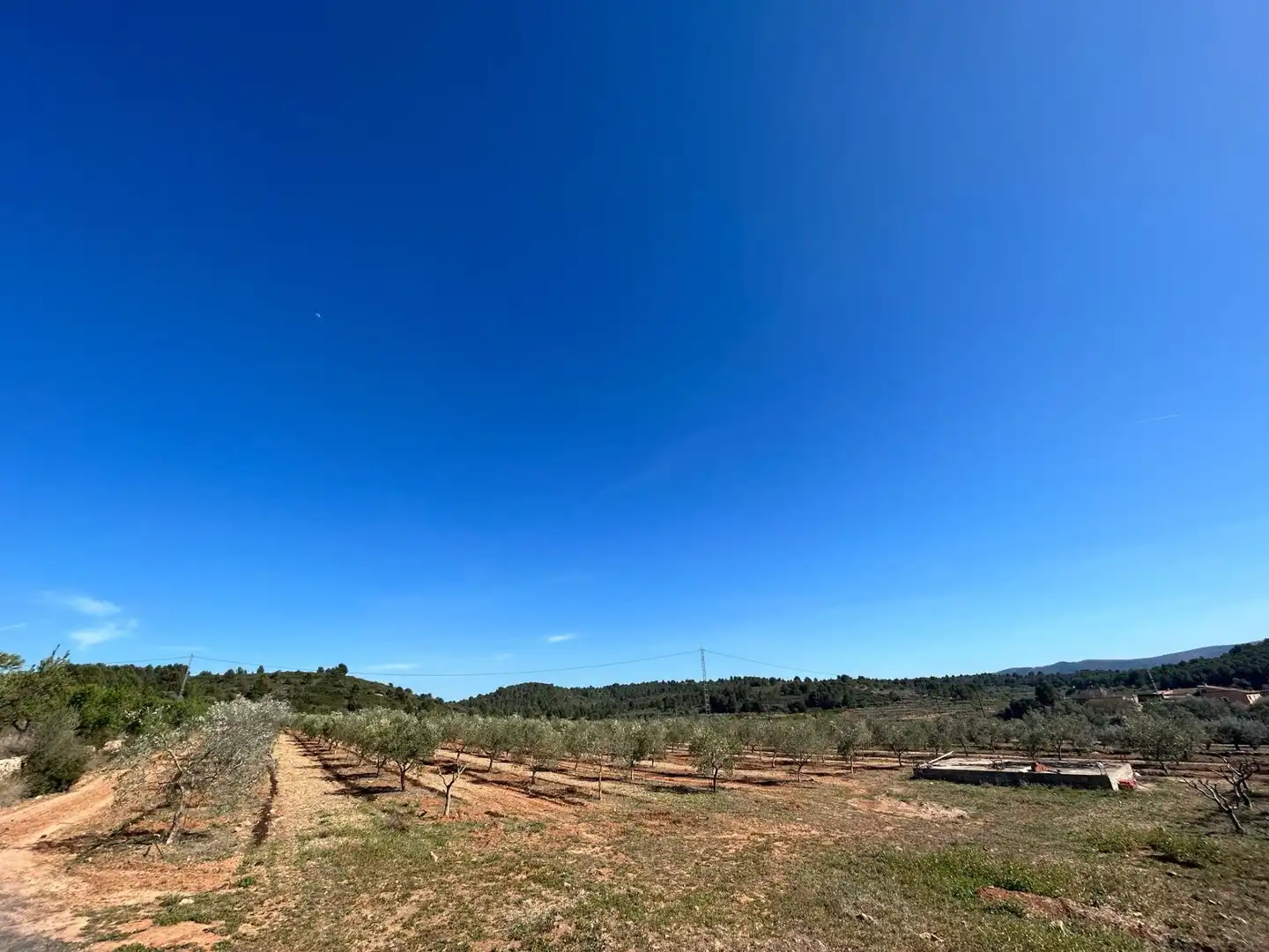 Terreno en venta en BARONA, Vall d'Alba