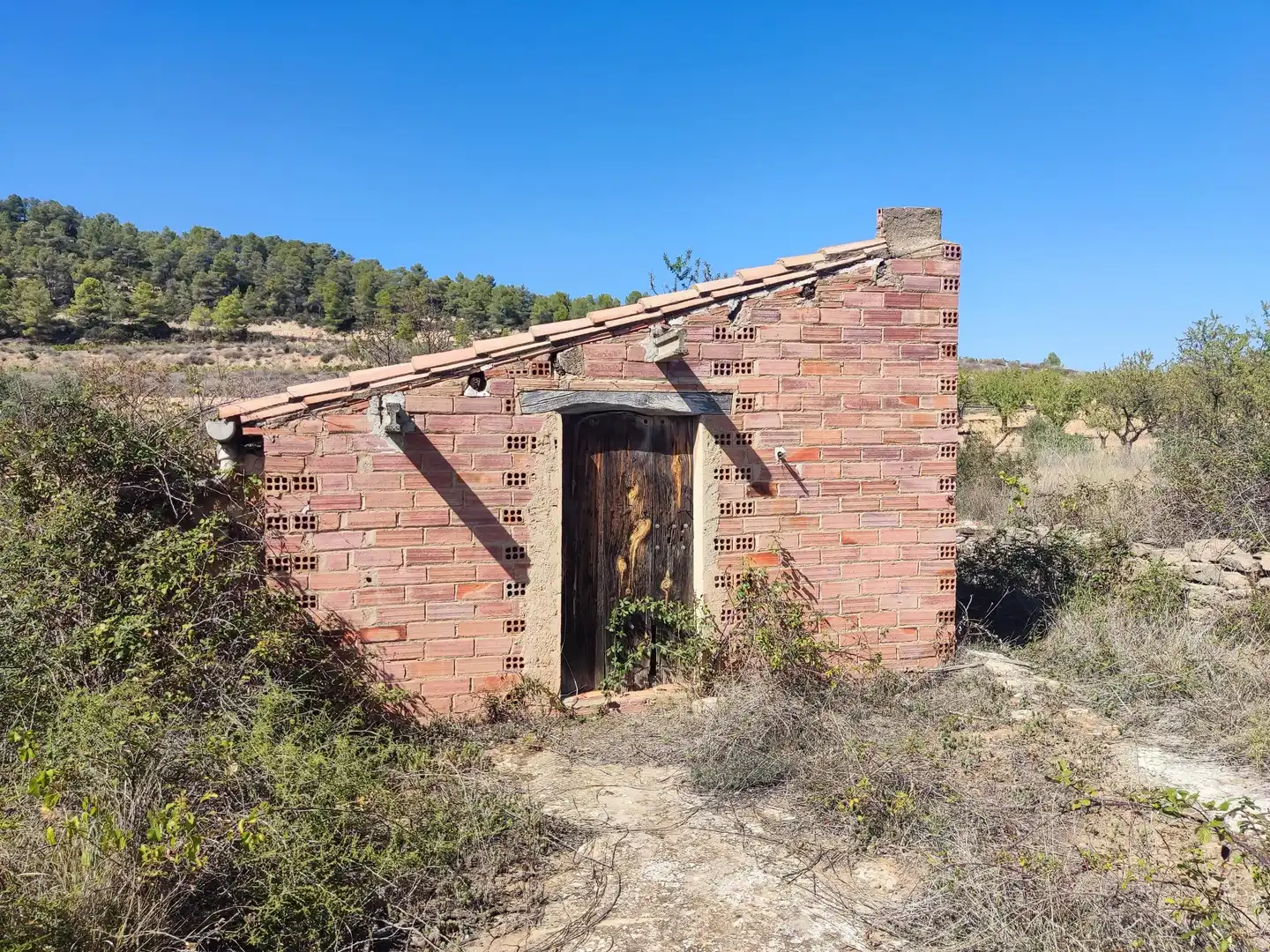 Rural land for sale in Horta de Sant Joan, imagen 3