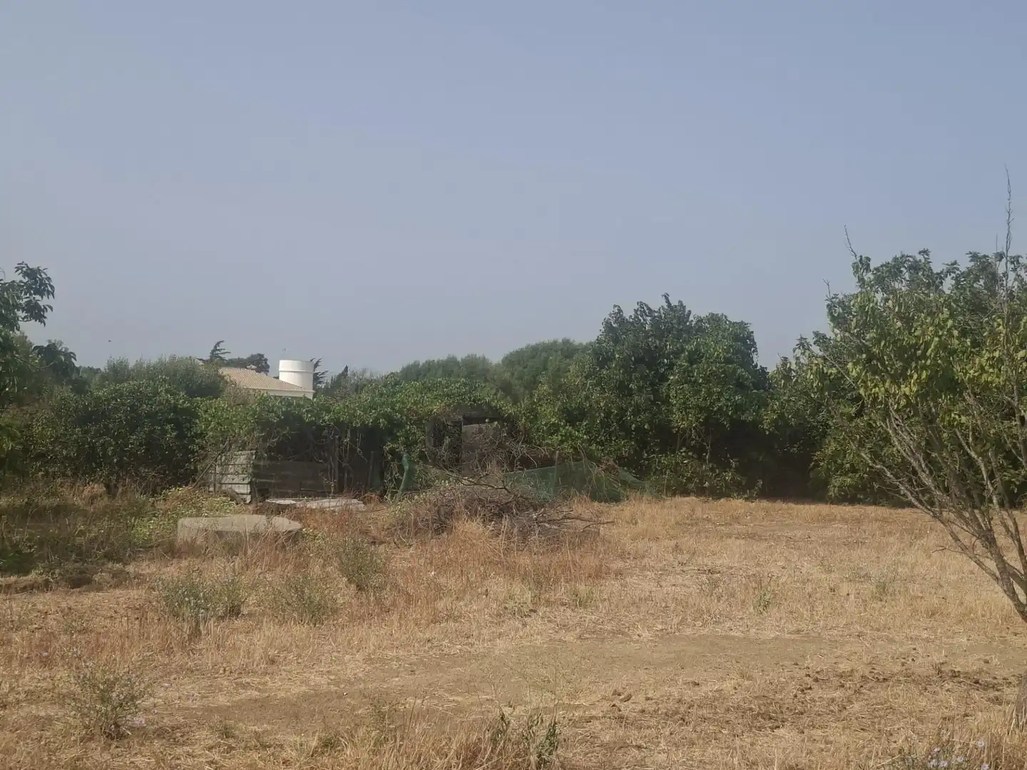 Residential land for sale in Pelagatos - Pago del Humo, imagen 7