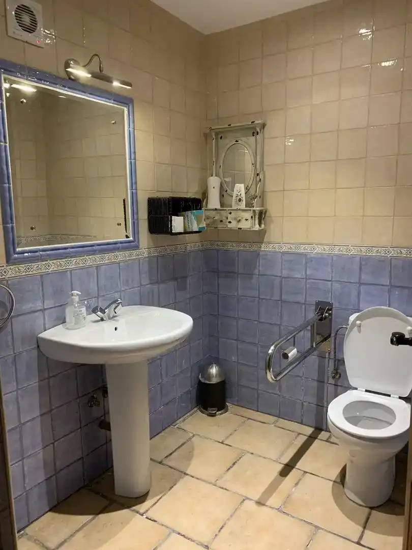 Bathroom of Commercial properties for sale in Comares, Málaga