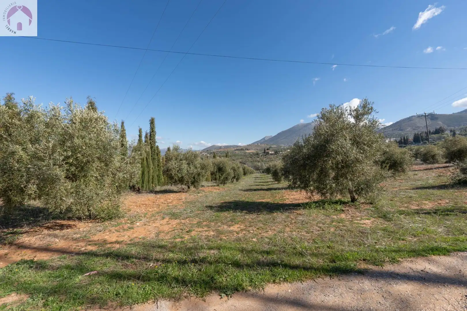 Terreni e lotti in vendita a Cogollos de la Vega, imagen 4