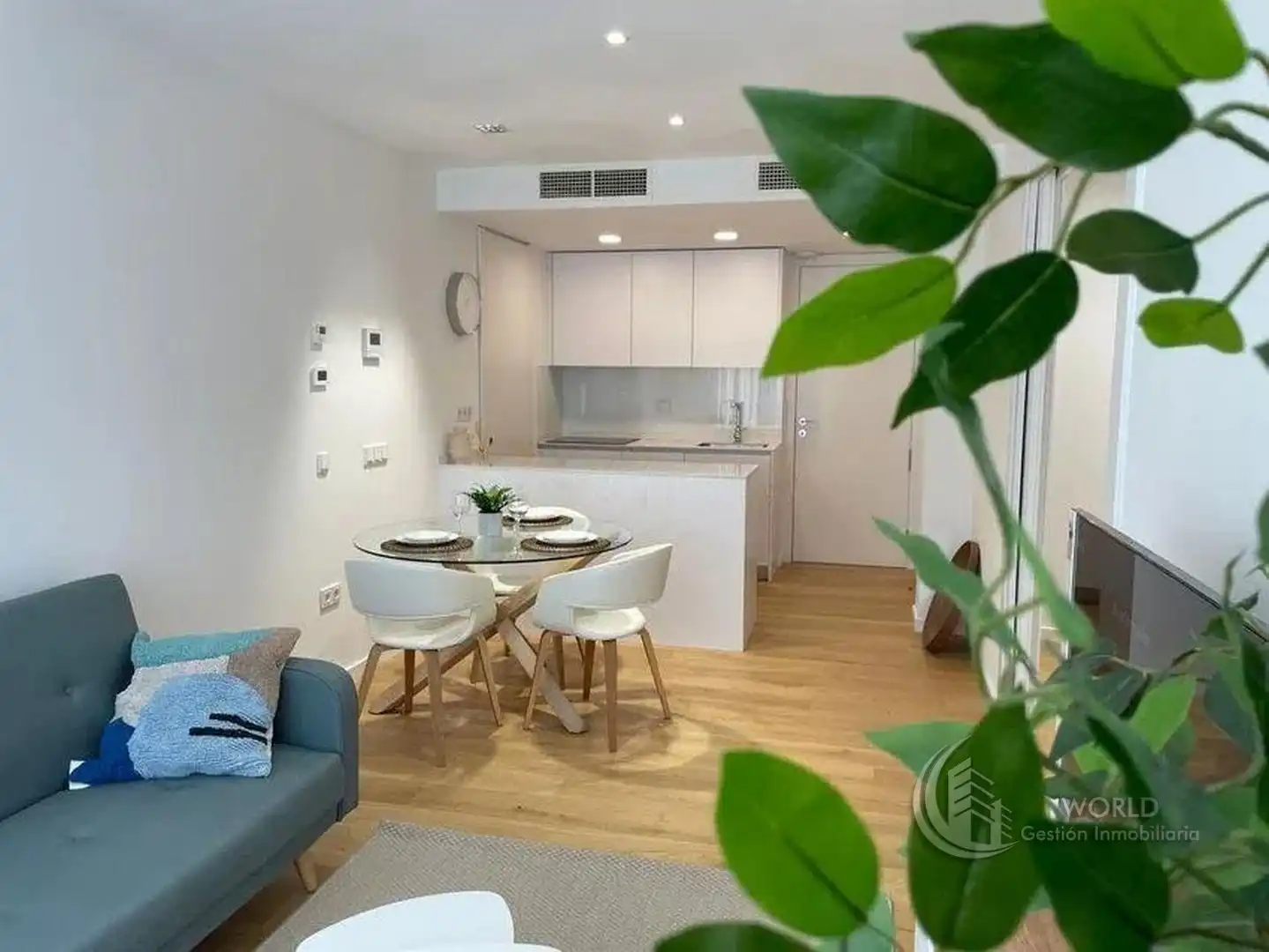 Sala de estar de Piso de alquiler en Madrid con Aire acondicionado, Calefacción y Jardín privado